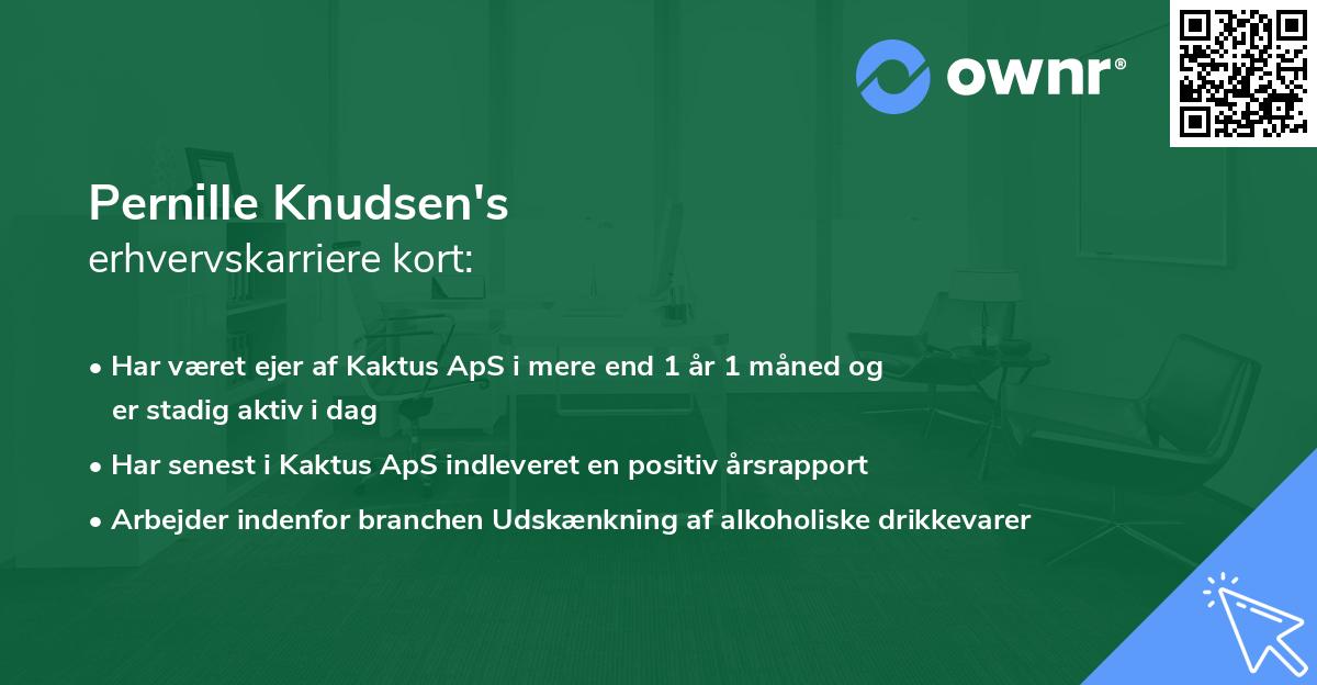 Pernille Knudsen's erhvervskarriere kort