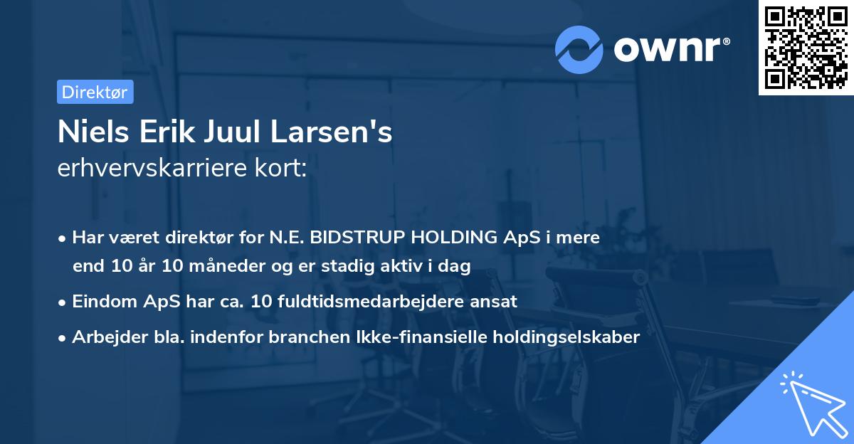 Niels Erik Juul Larsen's erhvervskarriere kort