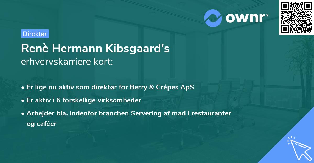 Renè Hermann Kibsgaard's erhvervskarriere kort