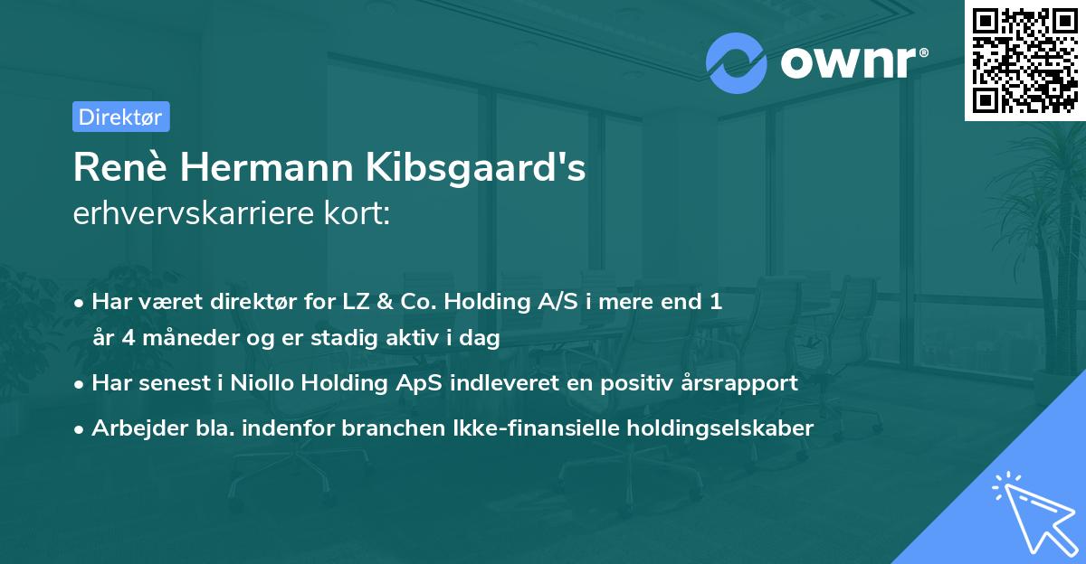 Renè Hermann Kibsgaard's erhvervskarriere kort