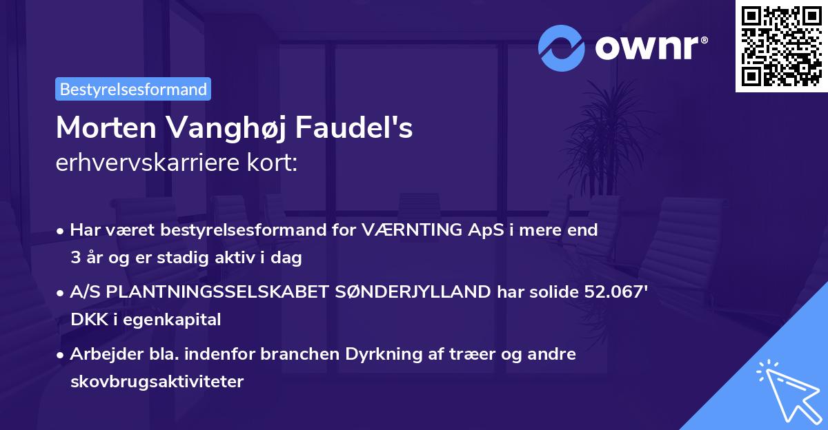 Morten Vanghøj Faudel's erhvervskarriere kort
