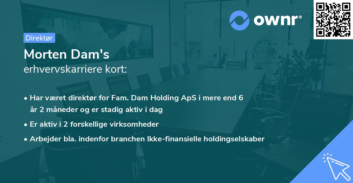 Morten Dam's erhvervskarriere kort