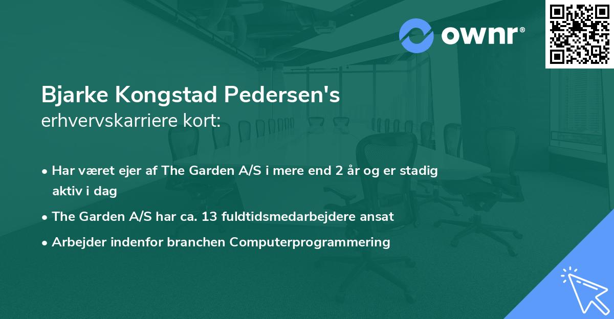 Bjarke Kongstad Pedersen's erhvervskarriere kort