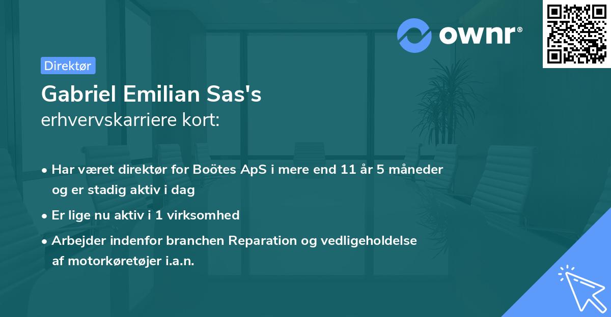 Gabriel Emilian Sas's erhvervskarriere kort