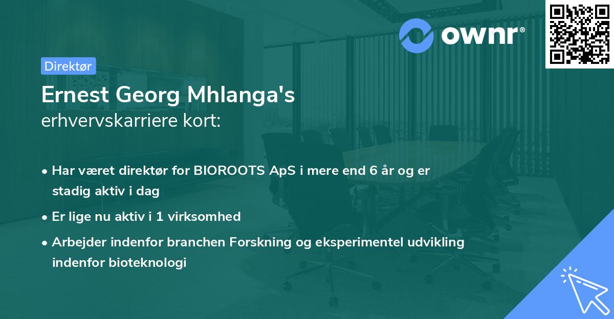 Ernest Georg Mhlanga's erhvervskarriere kort