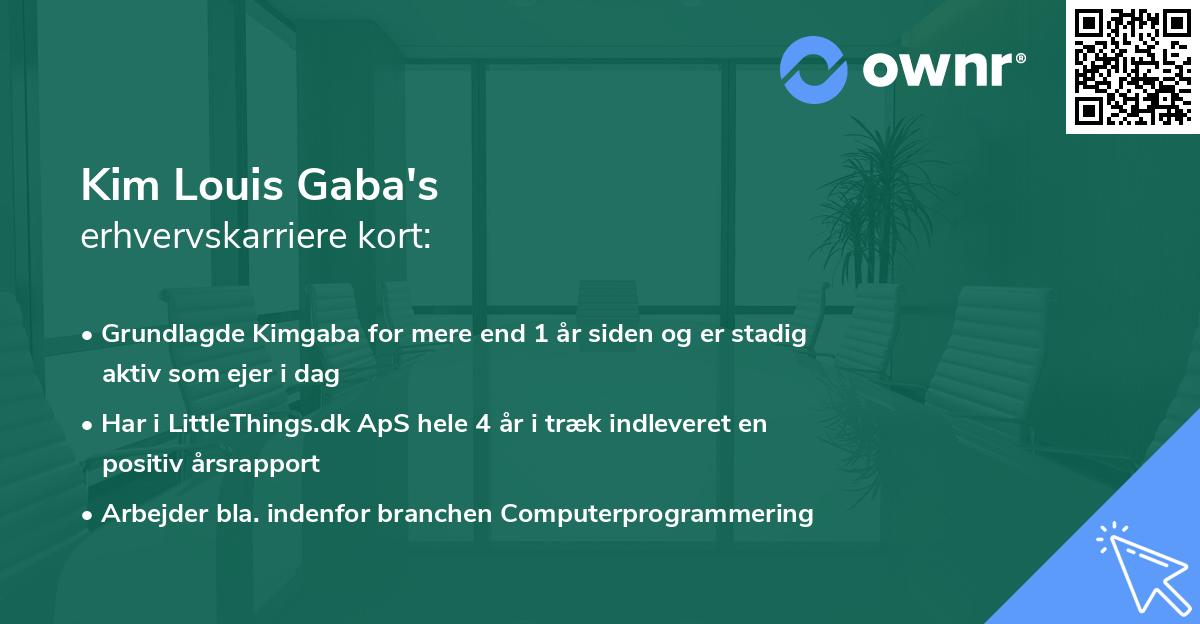Kim Louis Gaba's erhvervskarriere kort