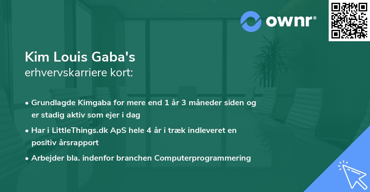 Kim Louis Gaba's erhvervskarriere kort