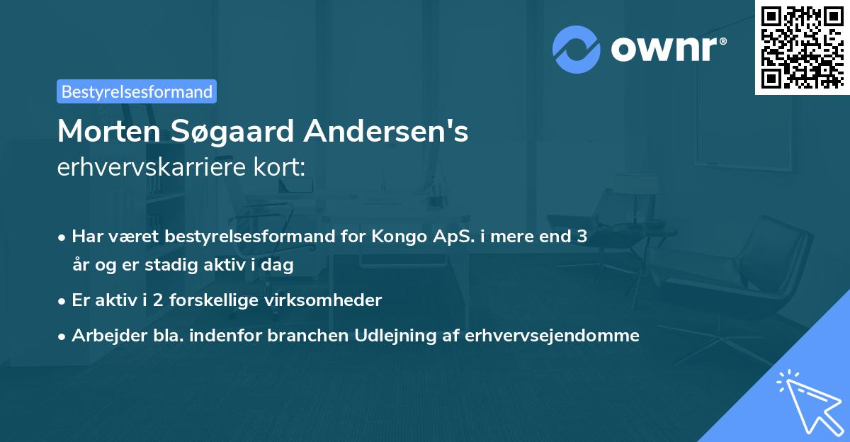 Morten Søgaard Andersen's erhvervskarriere kort