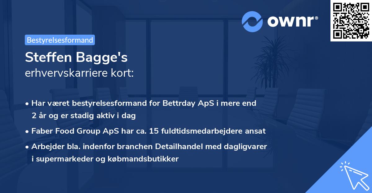 Steffen Bagge's erhvervskarriere kort