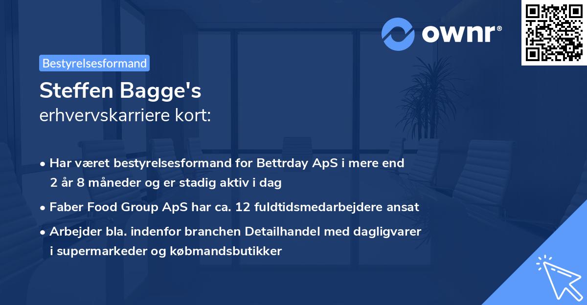 Steffen Bagge's erhvervskarriere kort