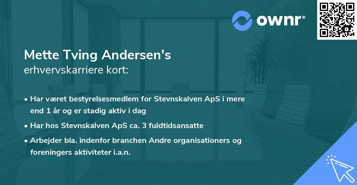 Mette Tving Andersen's erhvervskarriere kort