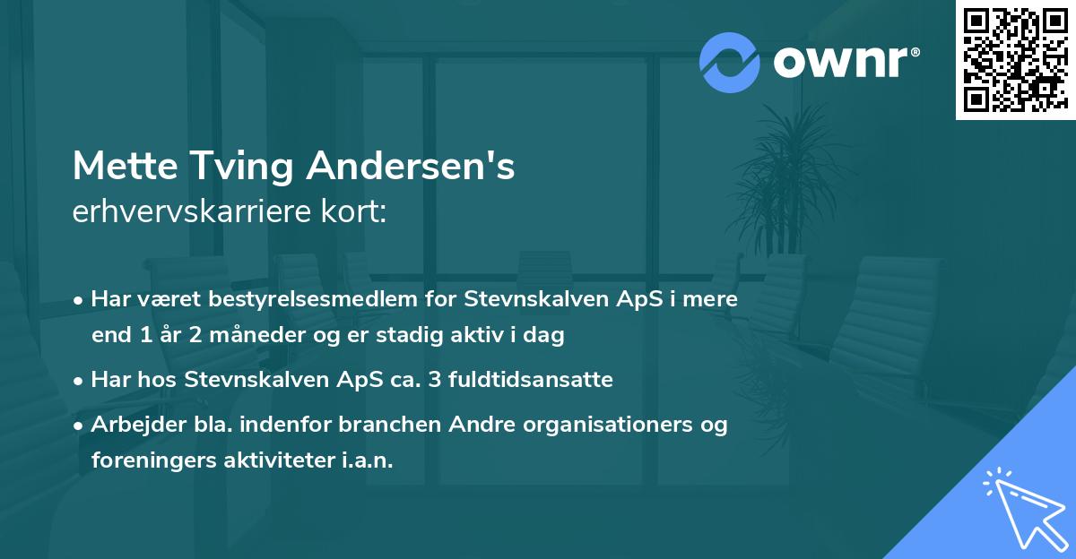 Mette Tving Andersen's erhvervskarriere kort