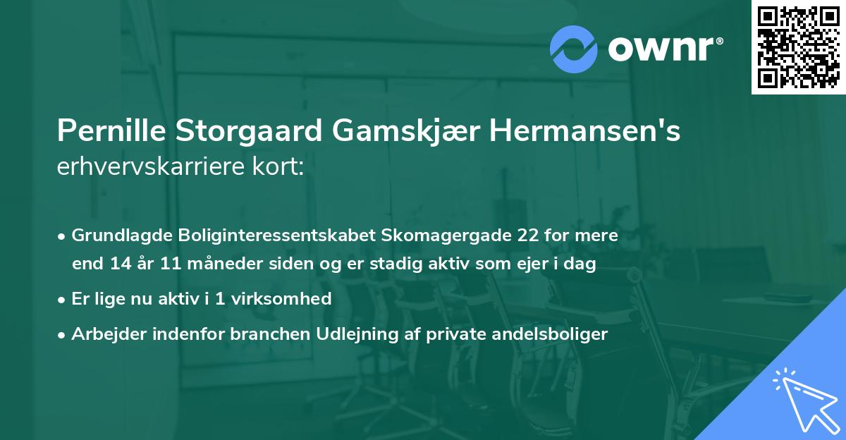 Pernille Storgaard Gamskjær Hermansen's erhvervskarriere kort