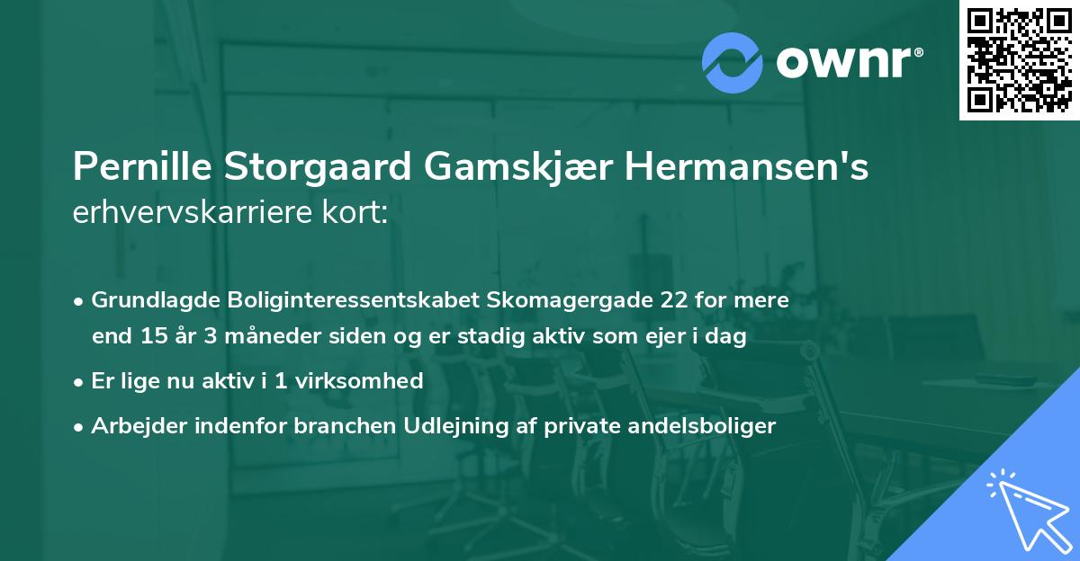Pernille Storgaard Gamskjær Hermansen's erhvervskarriere kort