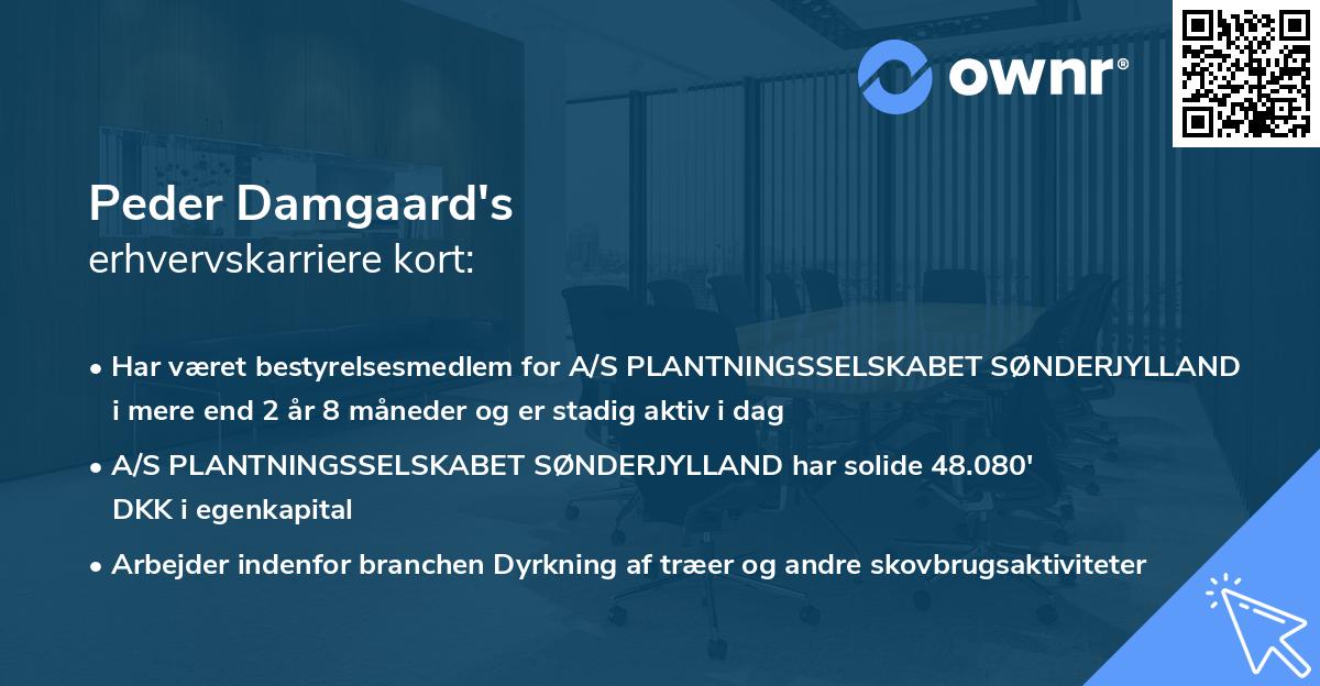Peder Damgaard's erhvervskarriere kort