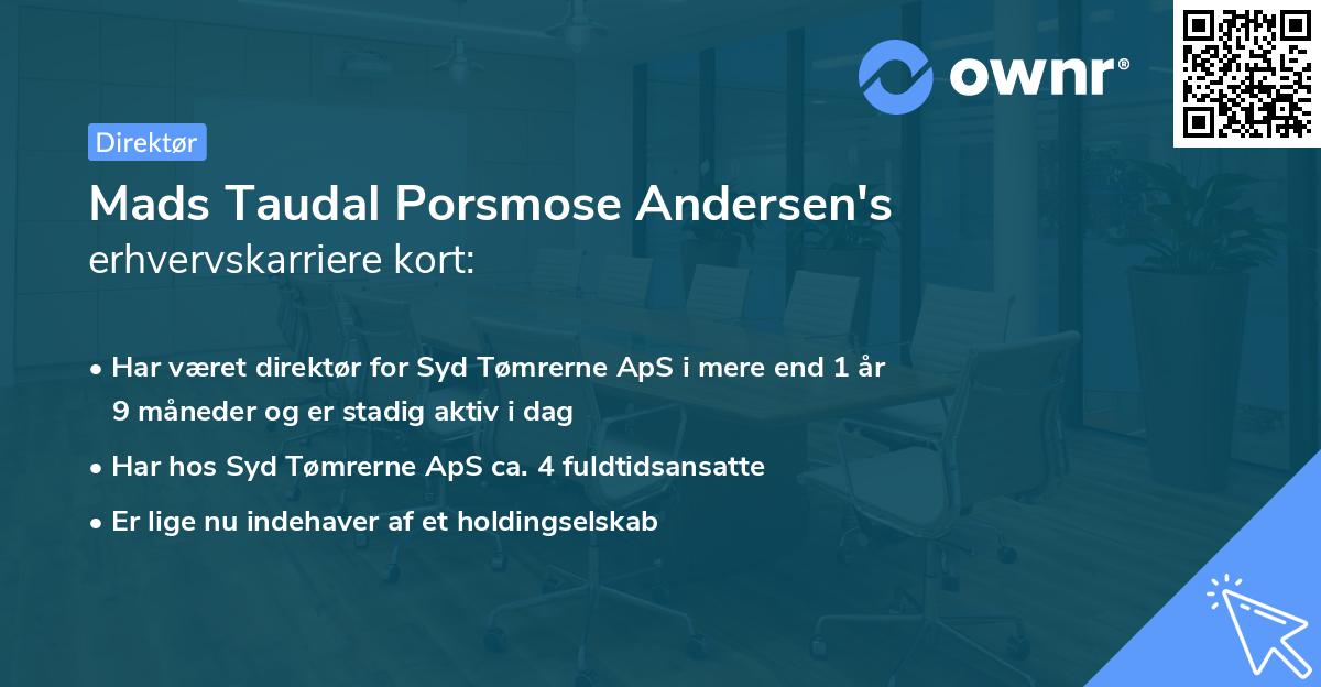 Mads Taudal Porsmose Andersen's erhvervskarriere kort