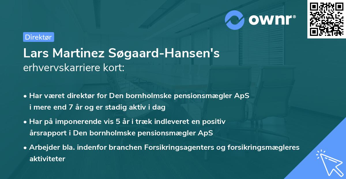 Lars Martinez Søgaard-Hansen's erhvervskarriere kort