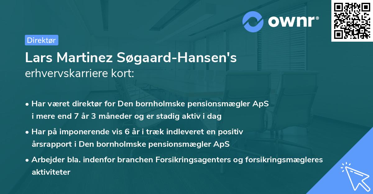 Lars Martinez Søgaard-Hansen's erhvervskarriere kort