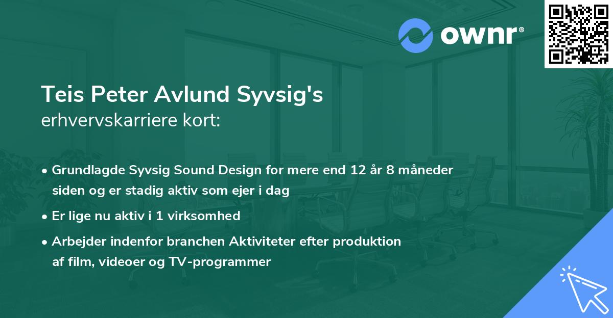 Teis Peter Avlund Syvsig's erhvervskarriere kort