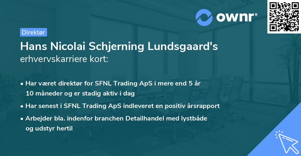 Hans Nicolai Schjerning Lundsgaard's erhvervskarriere kort