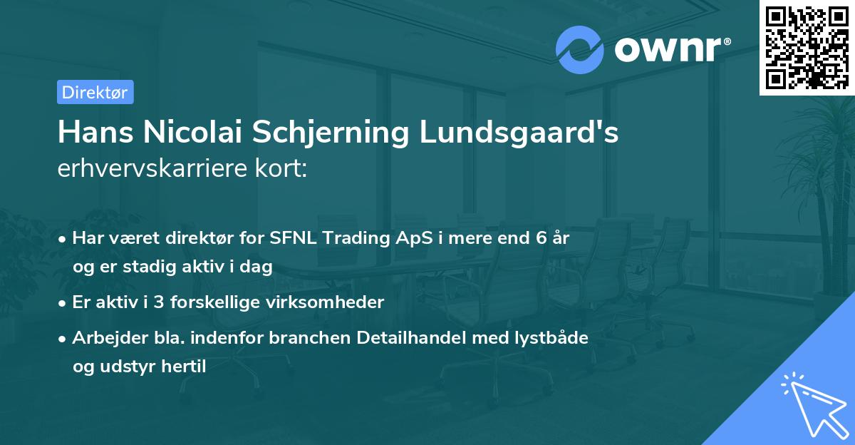 Hans Nicolai Schjerning Lundsgaard's erhvervskarriere kort