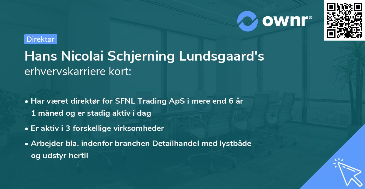 Hans Nicolai Schjerning Lundsgaard's erhvervskarriere kort