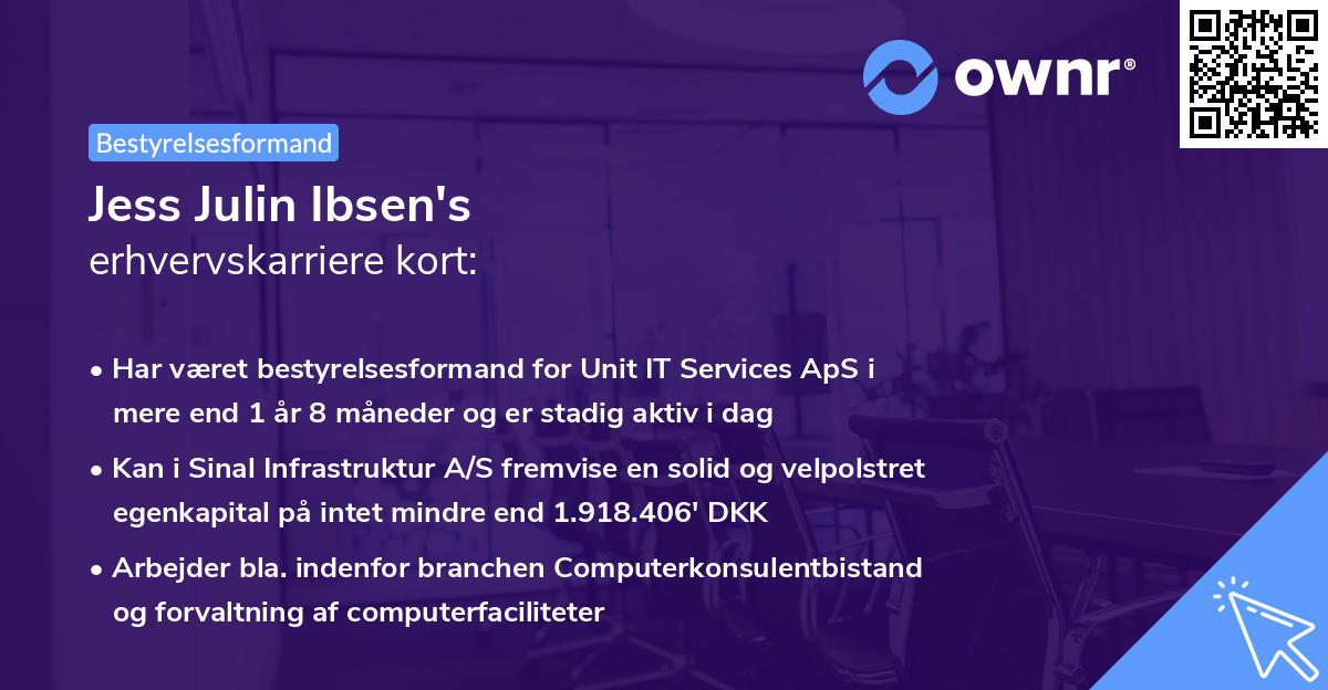 Jess Julin Ibsen's erhvervskarriere kort