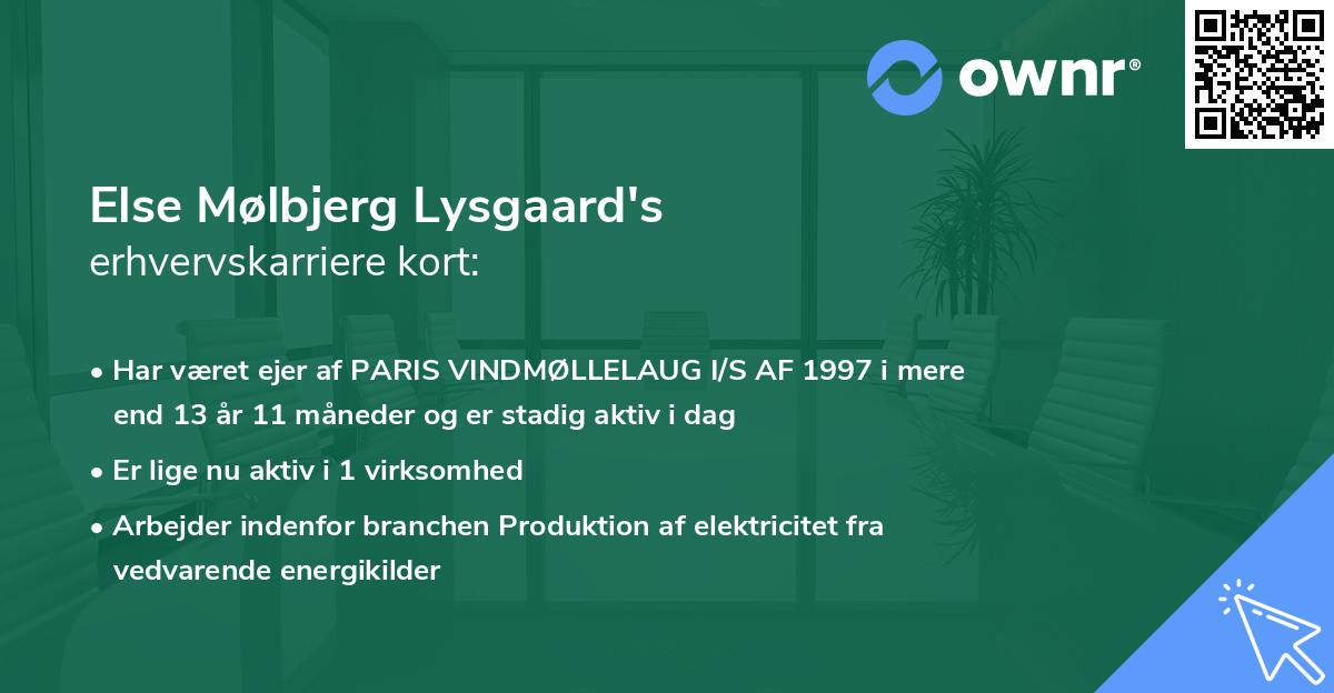 Else Mølbjerg Lysgaard's erhvervskarriere kort