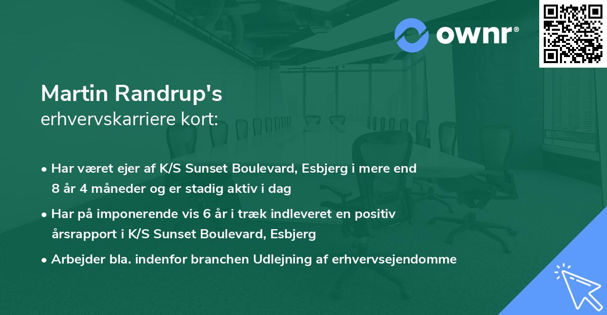Martin Randrup's erhvervskarriere kort