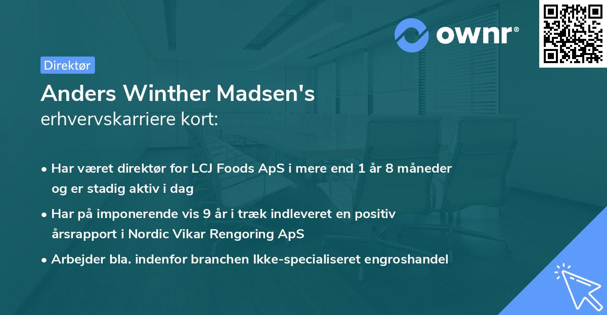 Anders Winther Madsen's erhvervskarriere kort