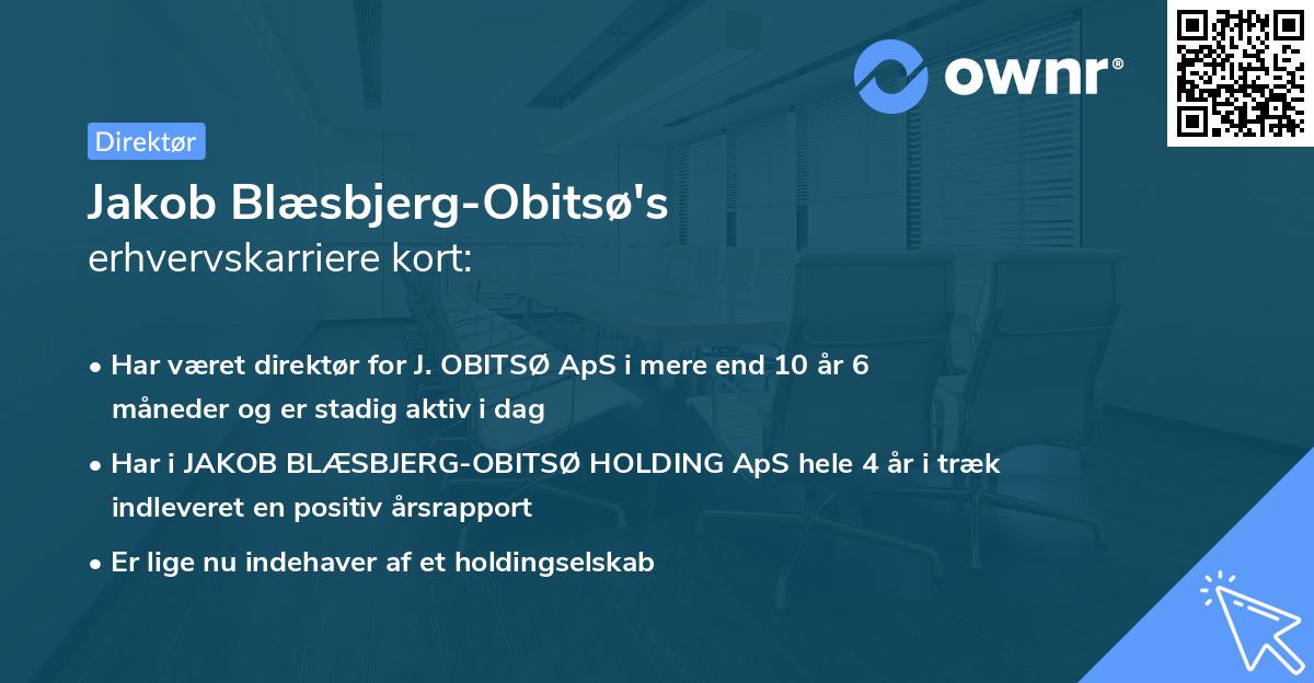 Jakob Blæsbjerg-Obitsø's erhvervskarriere kort