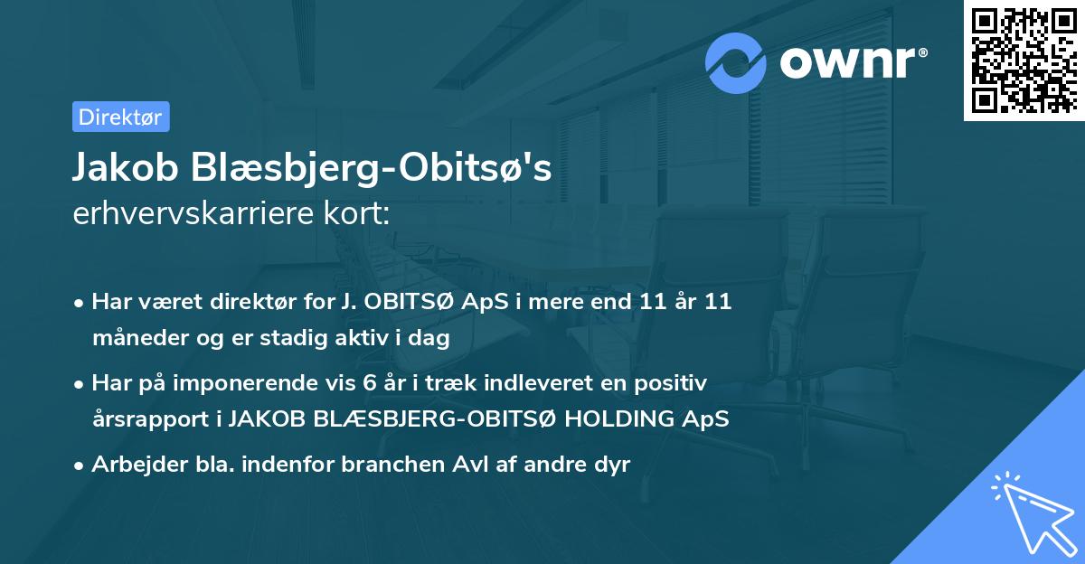 Jakob Blæsbjerg-Obitsø's erhvervskarriere kort