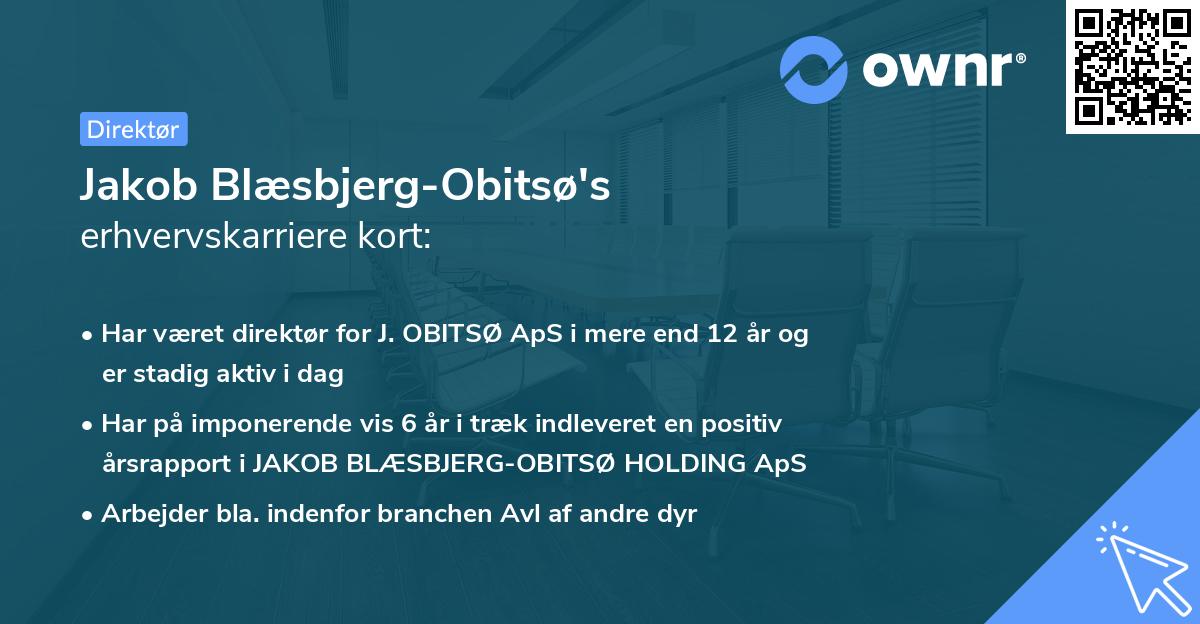 Jakob Blæsbjerg-Obitsø's erhvervskarriere kort