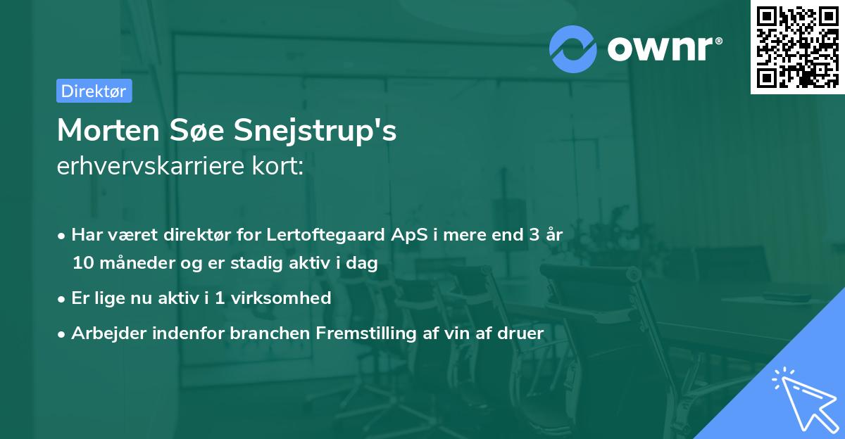 Morten Søe Snejstrup's erhvervskarriere kort