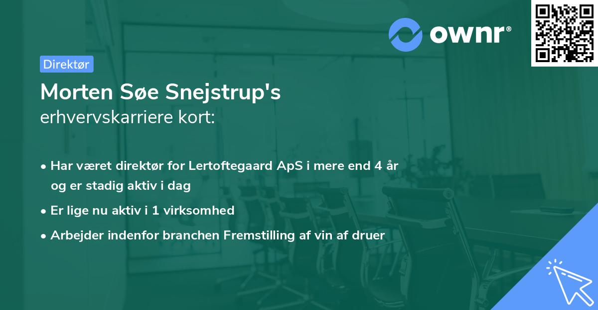 Morten Søe Snejstrup's erhvervskarriere kort