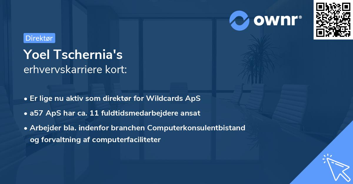 Yoel Tschernia's erhvervskarriere kort