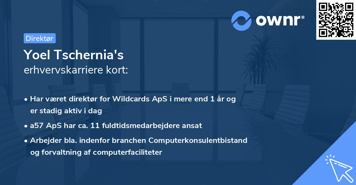 Yoel Tschernia's erhvervskarriere kort