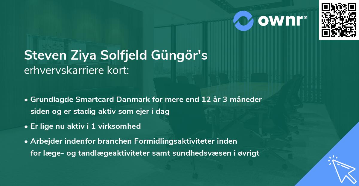 Steven Ziya Solfjeld Güngör's erhvervskarriere kort