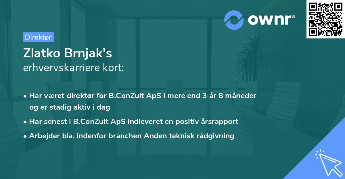 Zlatko Brnjak's erhvervskarriere kort