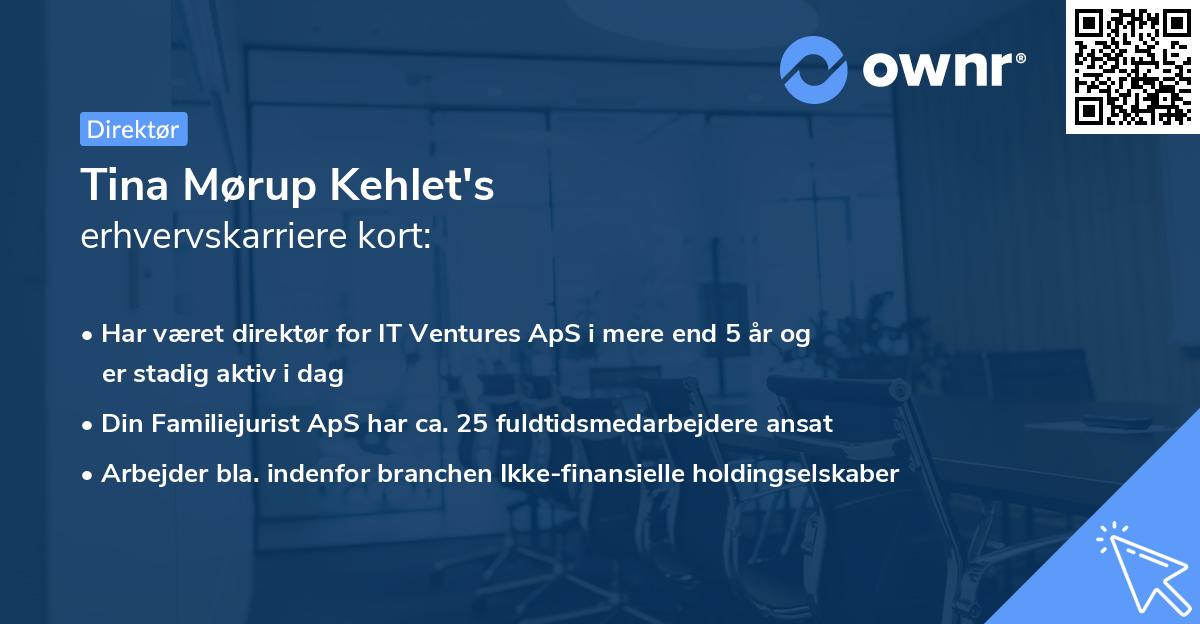 Tina Mørup Kehlet's erhvervskarriere kort