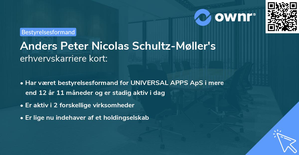 Anders Peter Nicolas Schultz-Møller's erhvervskarriere kort