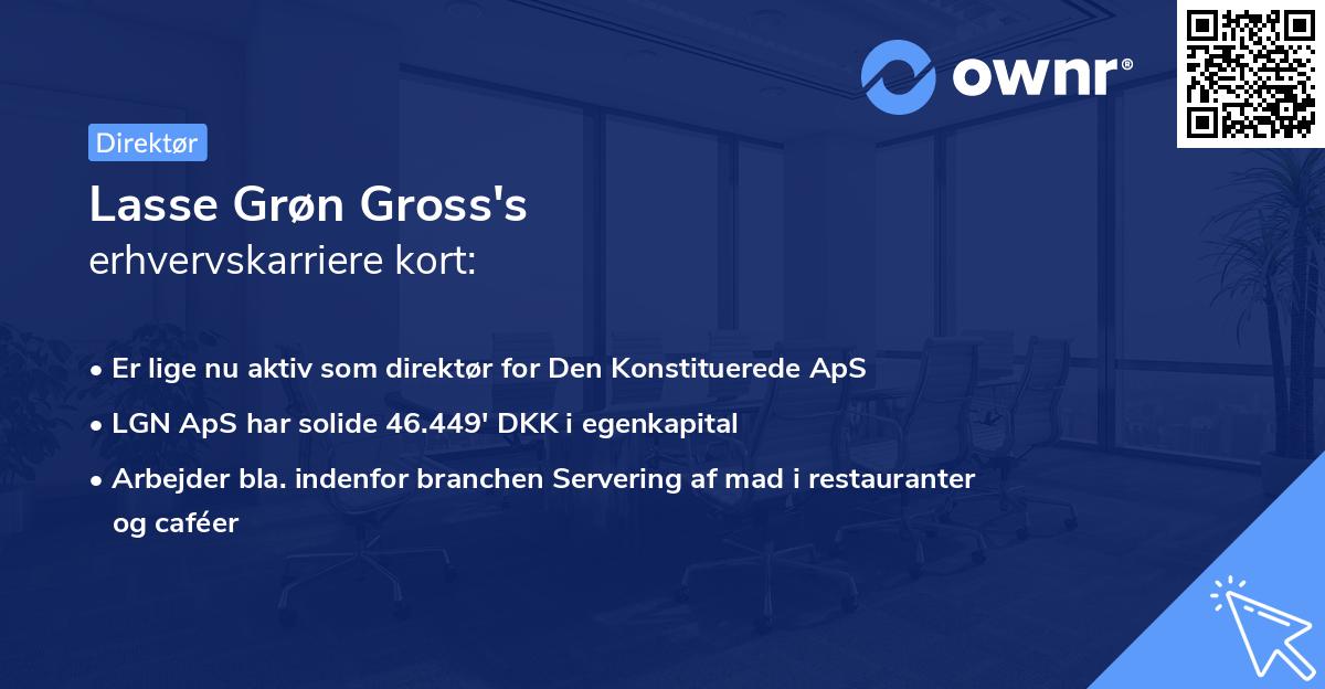 Lasse Grøn Gross's erhvervskarriere kort