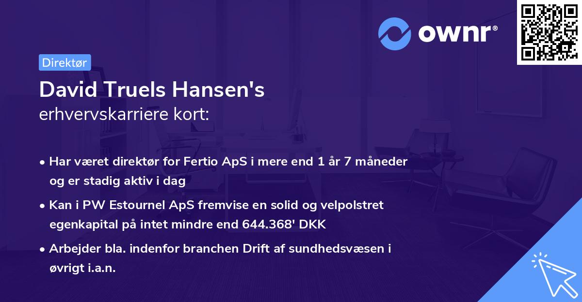 David Truels Hansen's erhvervskarriere kort