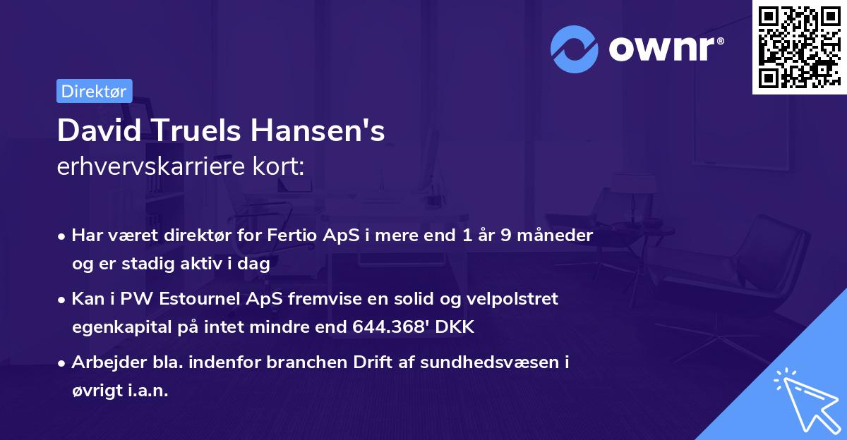 David Truels Hansen's erhvervskarriere kort