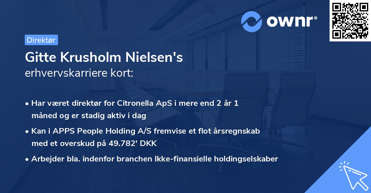 Gitte Krusholm Nielsen's erhvervskarriere kort
