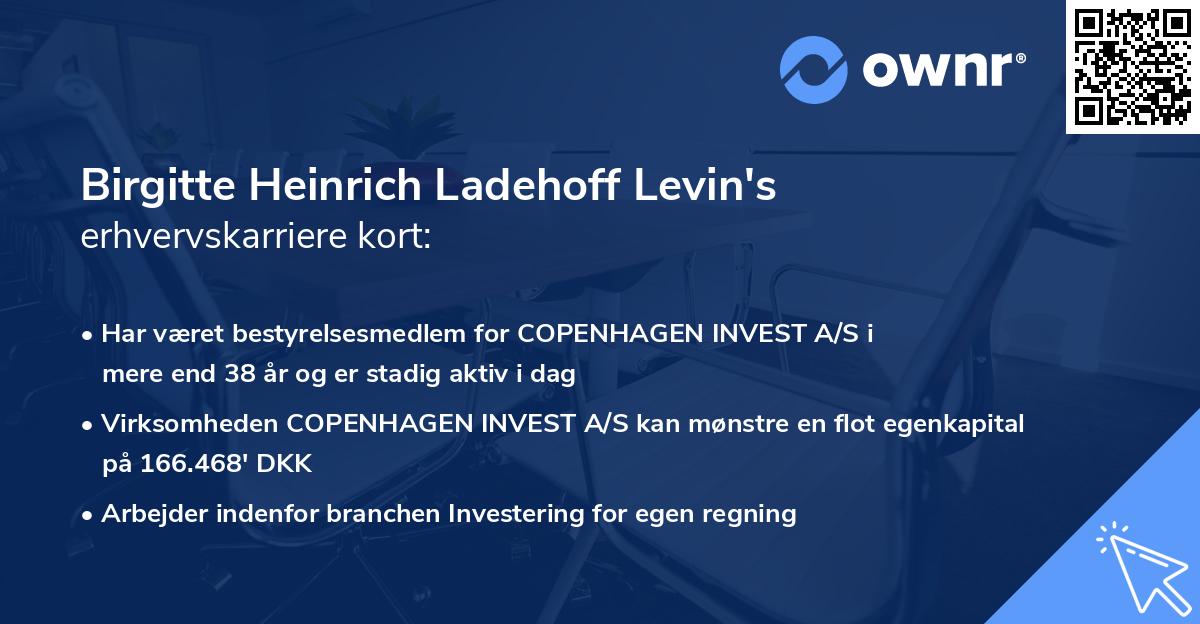 Birgitte Heinrich Ladehoff Levin's erhvervskarriere kort
