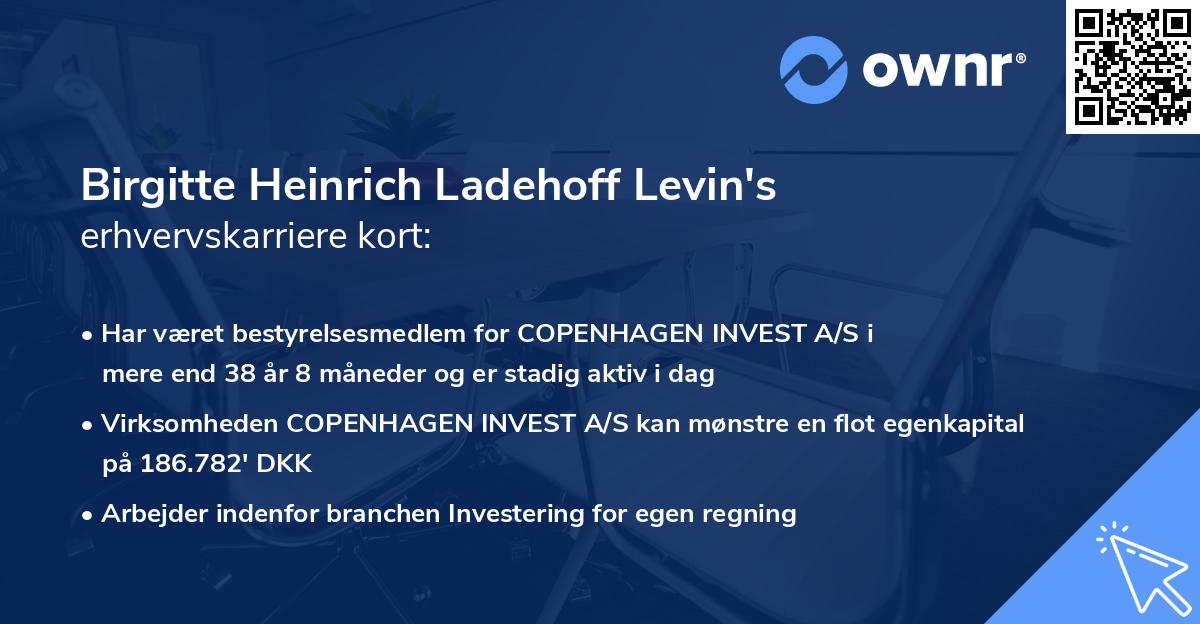 Birgitte Heinrich Ladehoff Levin's erhvervskarriere kort