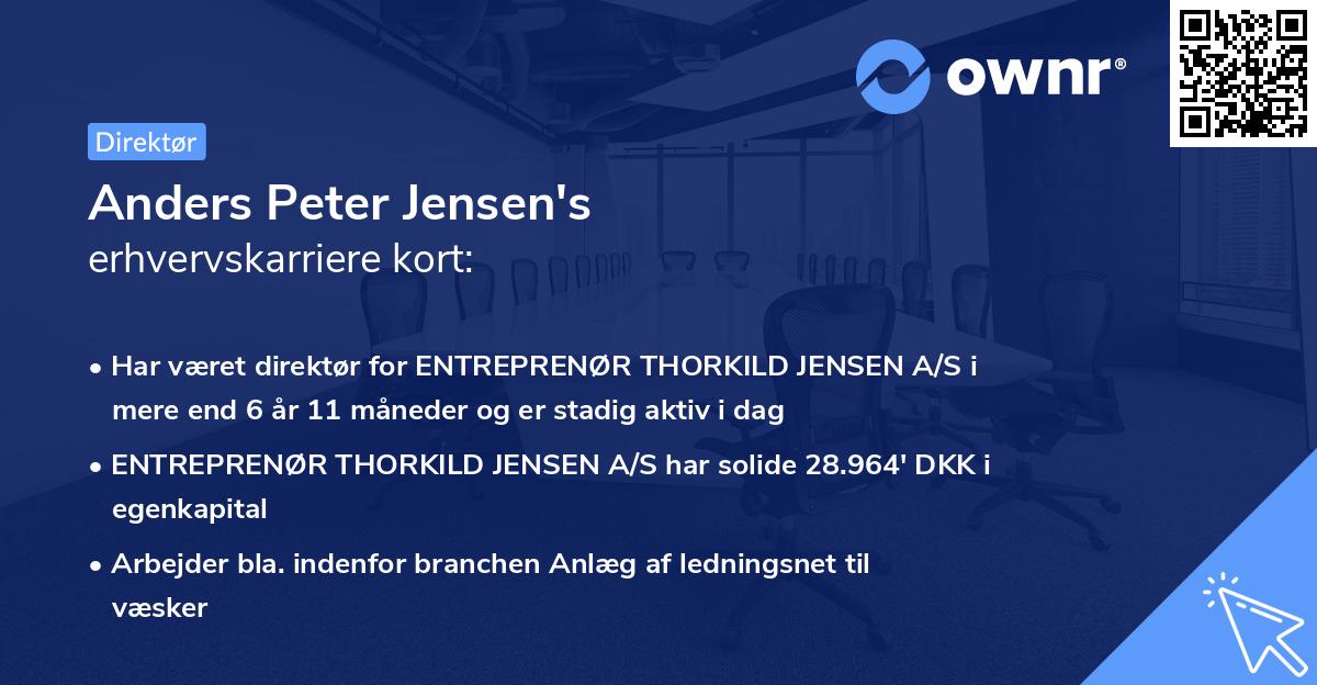 Anders Peter Jensen's erhvervskarriere kort