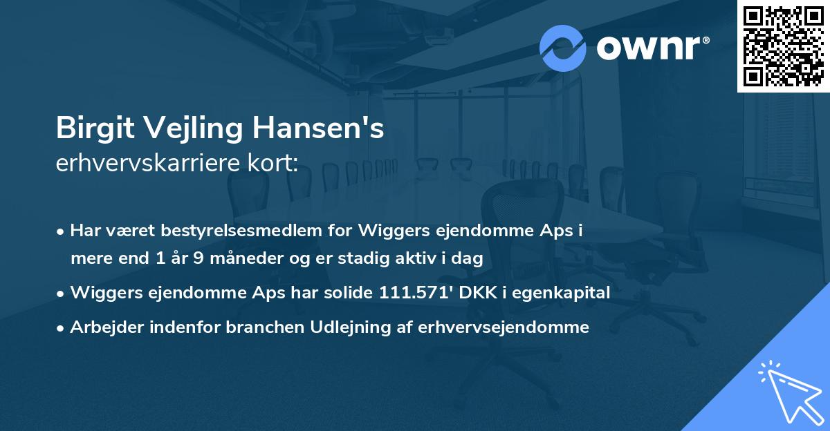 Birgit Vejling Hansen's erhvervskarriere kort