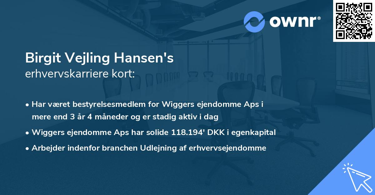 Birgit Vejling Hansen's erhvervskarriere kort